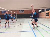 volley (11)